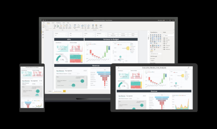 Microsoft Power BI for Beginners